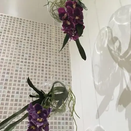 3 Vue Sur La Garonne Apartamento